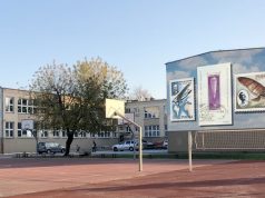 Mural lotniczy - projekt do budżetu obywatelskiego 2022 r., Artur Adamiec