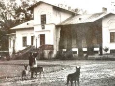 Dwór państwa Bagniewskich, ok. 1925 r.