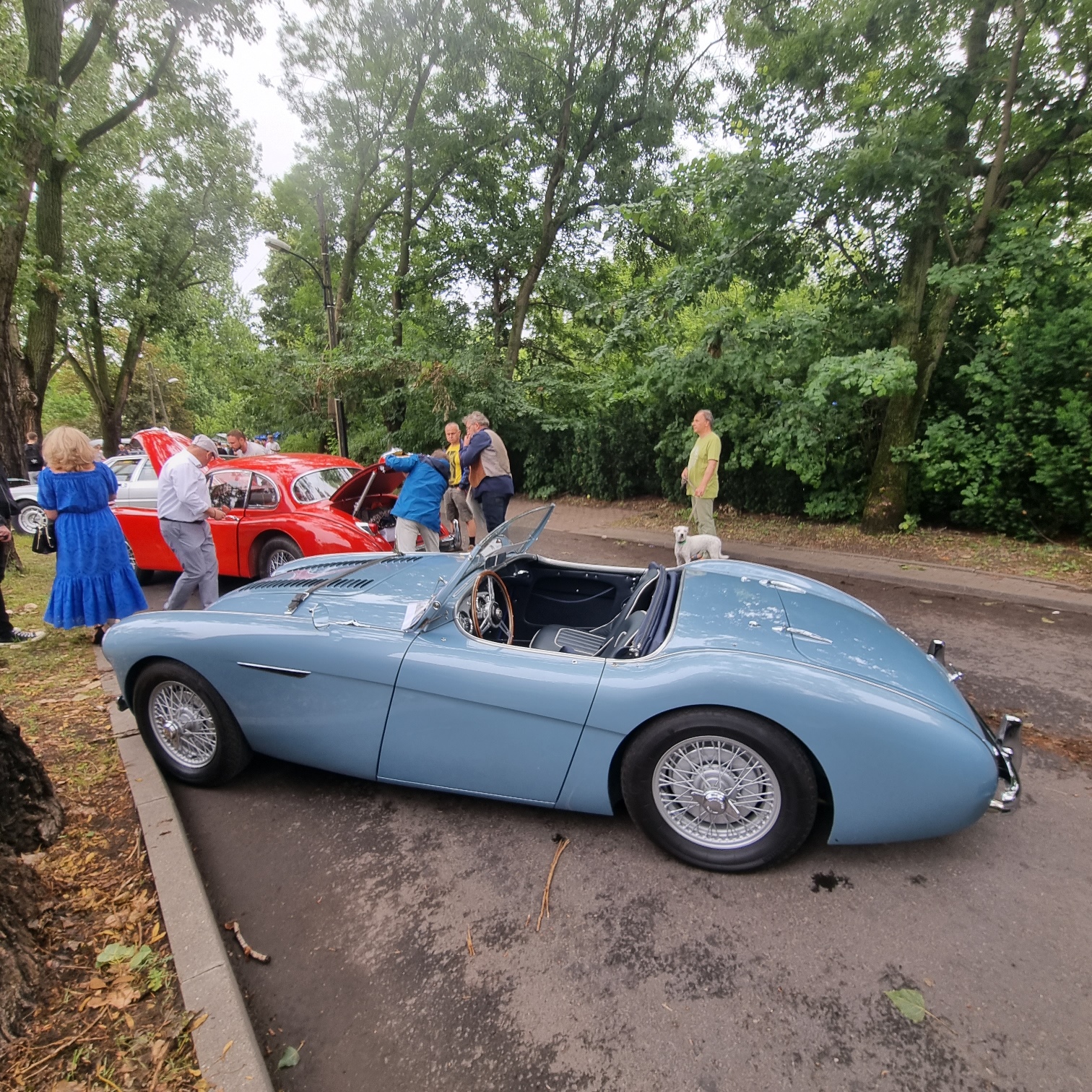 Alfa Romeo na zlocie Klasyczne Nowe Włochy. Fot. Renata Gawkowska
